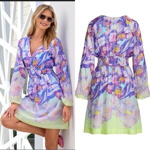Like New Boston Proper Print Long Sleeve A Line Dress in Versailles Fleurs Sz M